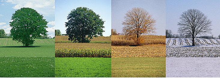 《铁拳8》剧情预告片分享 风间仁决战三岛一八